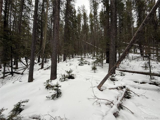 2806 Moir Dr, Fort Garland, CO 81133