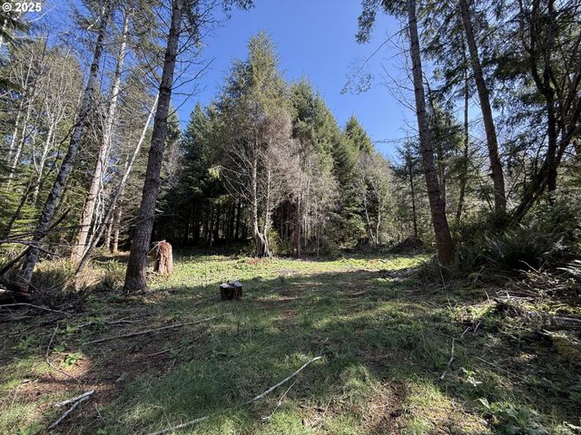 Cinnabar Lot 4, North Bend, OR 97459