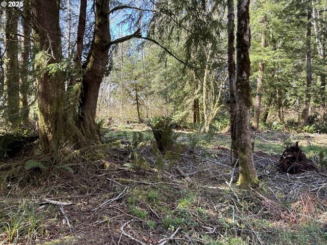 Cinnabar Lot 4, North Bend, OR 97459