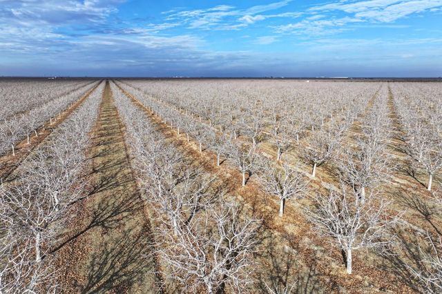 0 Elkhorn Avenue, Helm, CA 93627