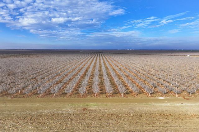 0 Elkhorn Avenue, Helm, CA 93627