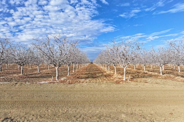 0 Elkhorn Avenue, Helm, CA 93627