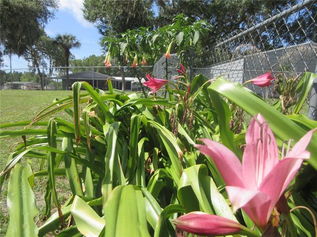 2300 SE 173RD AVENUE, Silver Springs, FL 34488
