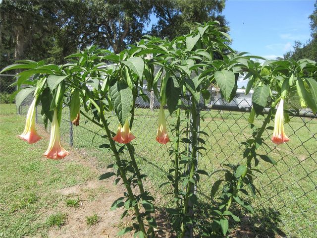 2300 SE 173RD AVENUE, Silver Springs, FL 34488