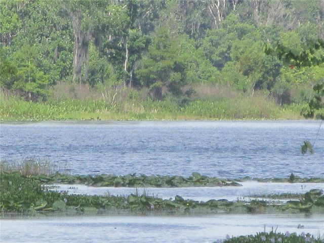 2300 SE 173RD AVENUE, Silver Springs, FL 34488