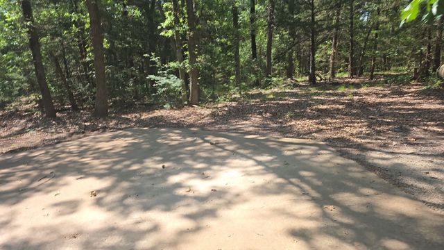 1100 Vz County Road 3530, Wills Point, TX 75169