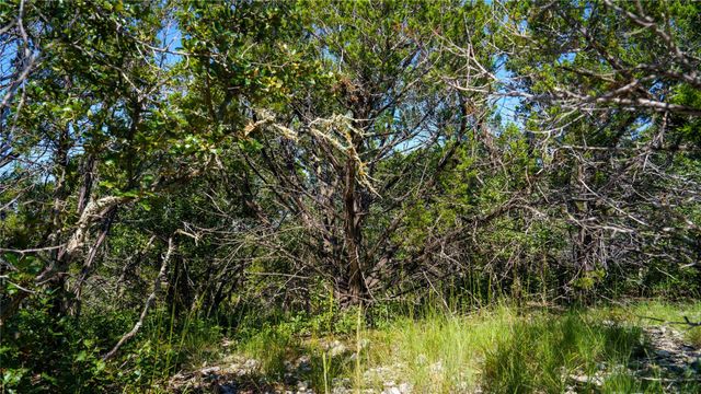 150 Branched Out Trail, Kerrville, TX 78028
