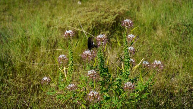 150 Branched Out Trail, Kerrville, TX 78028