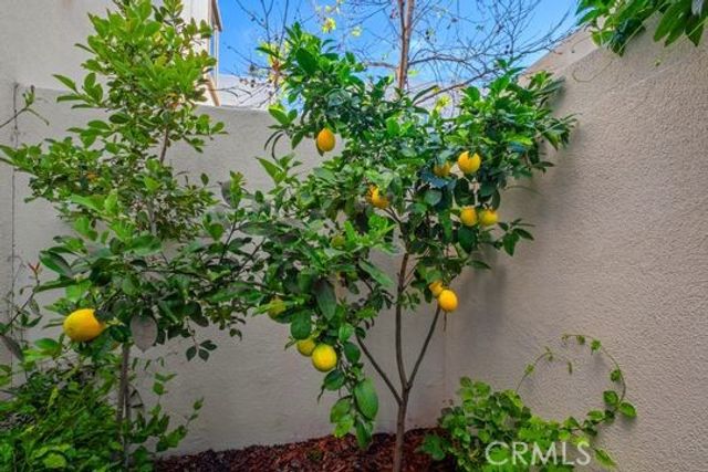 165 Frame, Irvine, CA 92618