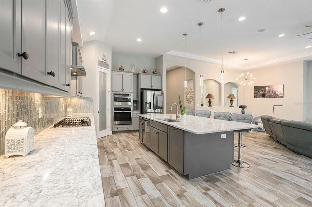 21698 AMELIA ROSE WAY, Land O Lakes, FL 34637