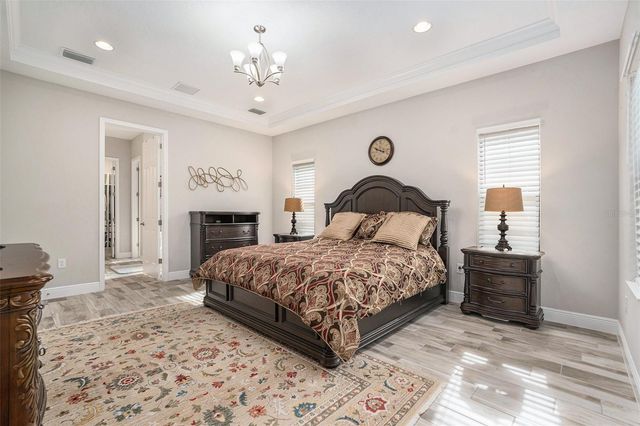 21698 AMELIA ROSE WAY, Land O Lakes, FL 34637