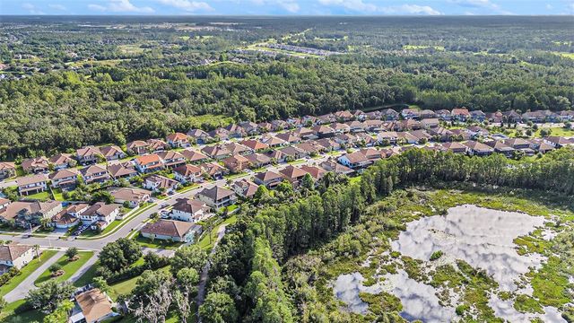 21698 AMELIA ROSE WAY, Land O Lakes, FL 34637