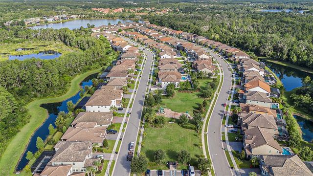21698 AMELIA ROSE WAY, Land O Lakes, FL 34637