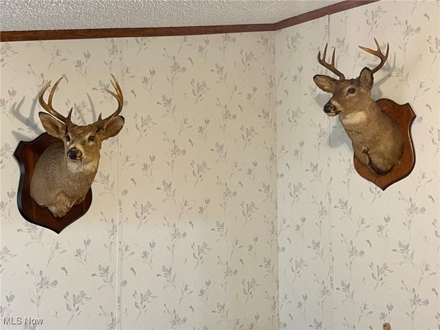 1964 County Road 58, Irondale, OH 43932