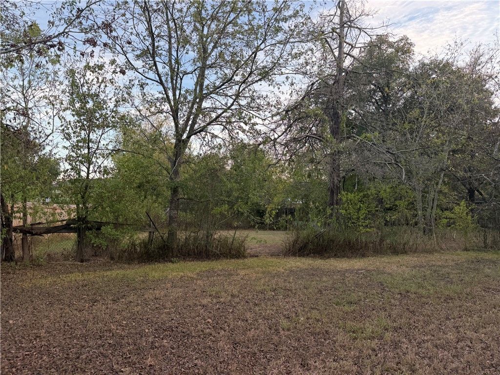 1207 South Drive, Bryan, TX 77803 — photo 5