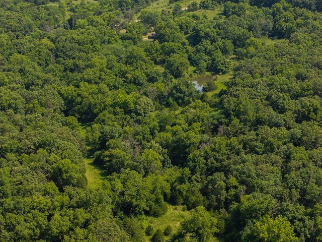 10335 SE Hwy J, Collins, MO 64738