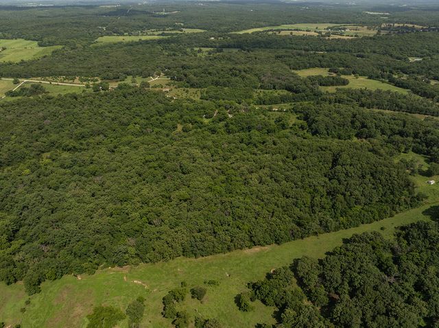 10335 SE Hwy J, Collins, MO 64738