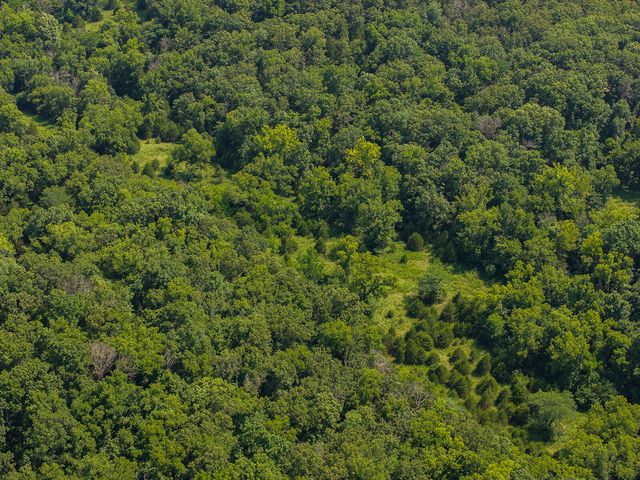 10335 SE Hwy J, Collins, MO 64738