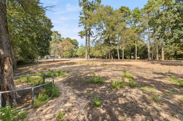 15303 Stagecoach Road, Stagecoach, TX 77355