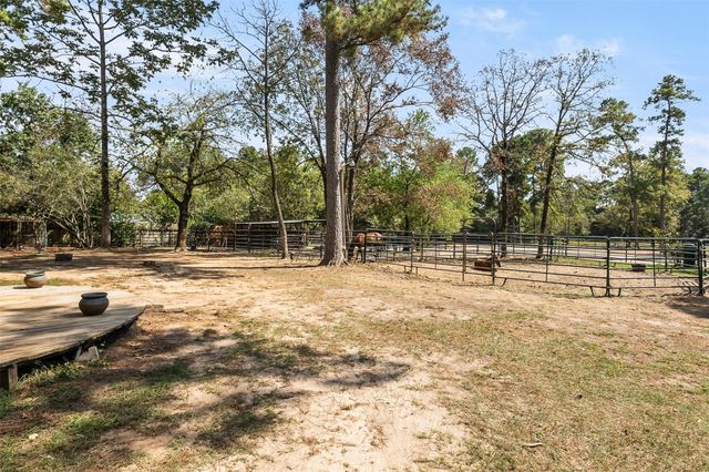 15303 Stagecoach Road, Stagecoach, TX 77355