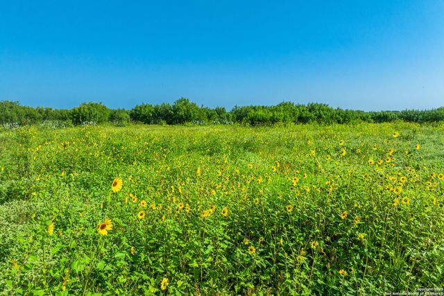 3911 County Road 1000, Pearsall, TX 78061