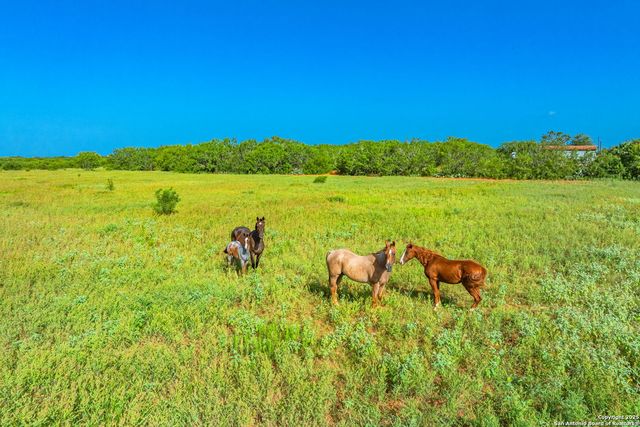 3911 County Road 1000, Pearsall, TX 78061