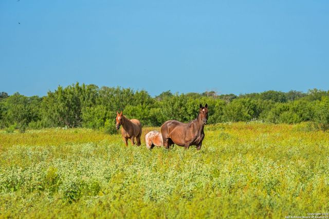 3911 County Road 1000, Pearsall, TX 78061