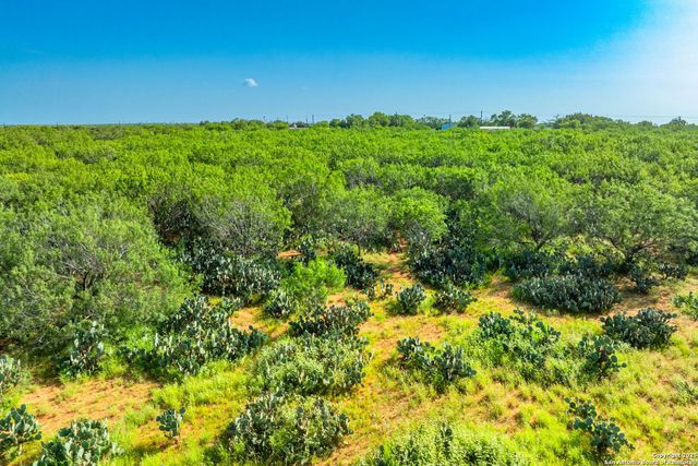 3911 County Road 1000, Pearsall, TX 78061