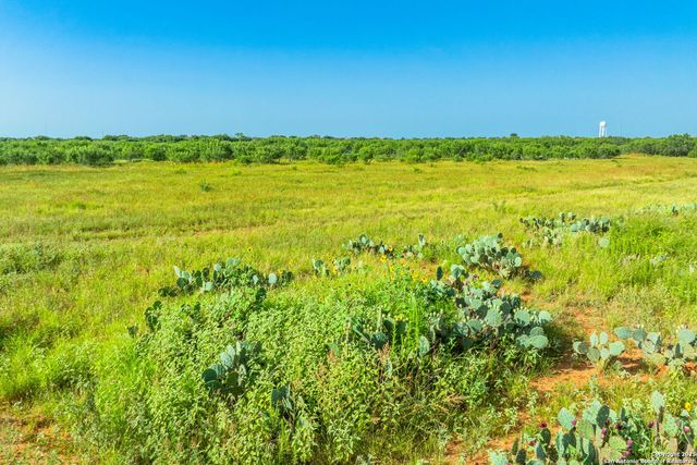 3911 County Road 1000, Pearsall, TX 78061