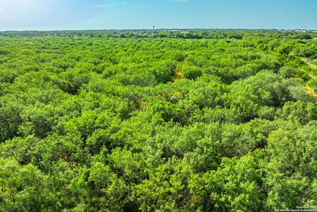 3911 County Road 1000, Pearsall, TX 78061