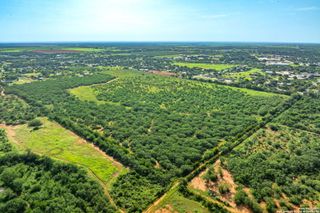 3911 County Road 1000, Pearsall, TX 78061