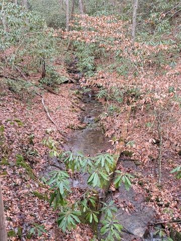 604 Bonny Brae Lane, Andrews, NC 28901