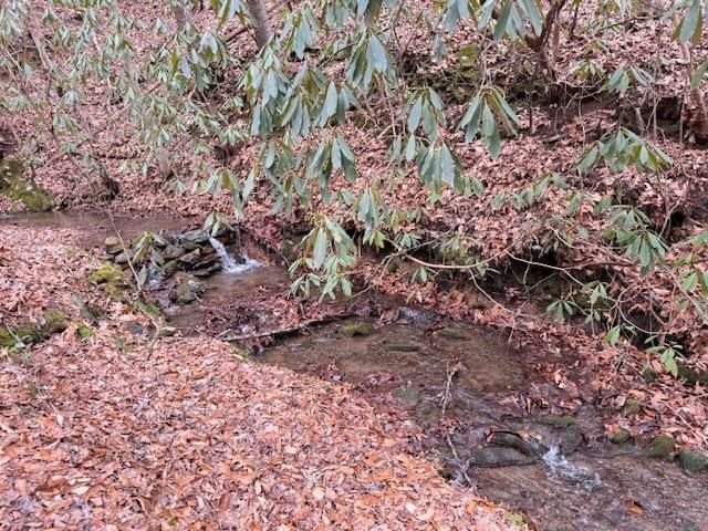 604 Bonny Brae Lane, Andrews, NC 28901