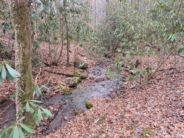 604 Bonny Brae Lane, Andrews, NC 28901