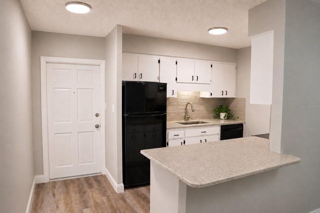 165 PICARDY VILLA CIRCLE 201, Brandon, FL 33510