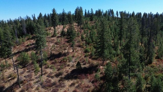52XX Lot 7 Swenson Rd, Deer Park, WA 99006