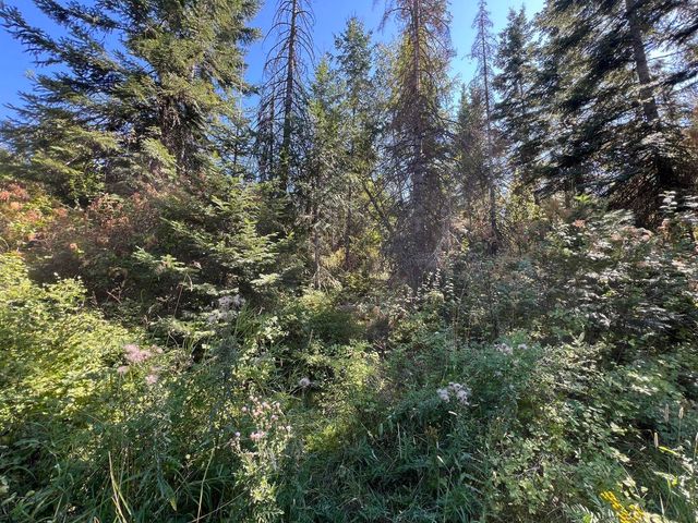 52XX Lot 7 Swenson Rd, Deer Park, WA 99006
