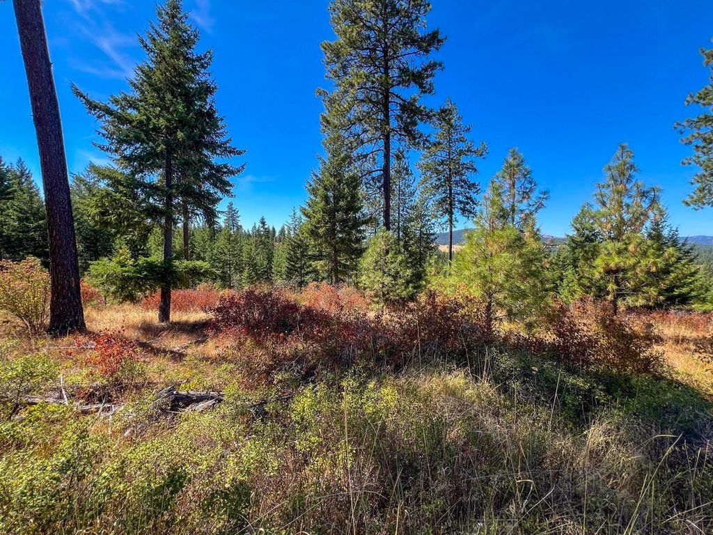 52XX Lot 7 Swenson Rd, Deer Park, WA 99006 photo 1