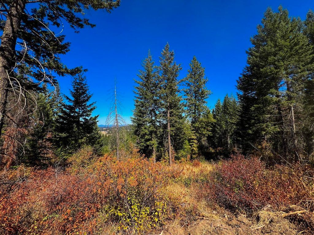 52XX Lot 7 Swenson Rd, Deer Park, WA 99006 photo 5