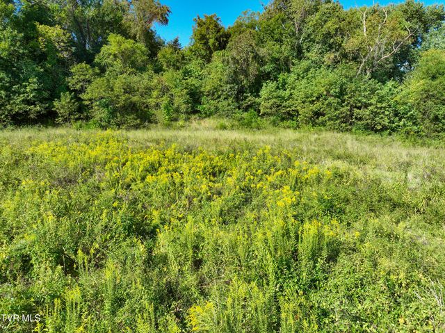 907 Cedar Grove Road, Johnson City, TN 37601
