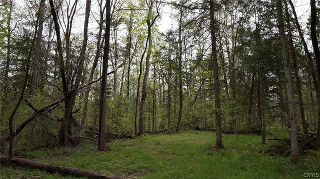 342 Mc Caw Road, Redfield, NY 13437