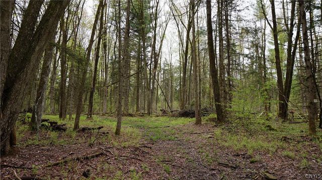 342 Mc Caw Road, Redfield, NY 13437