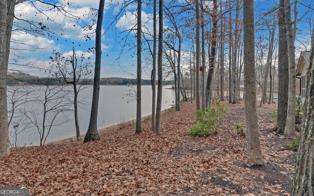 114 Blue Ridge Place, Lavonia, GA 30553