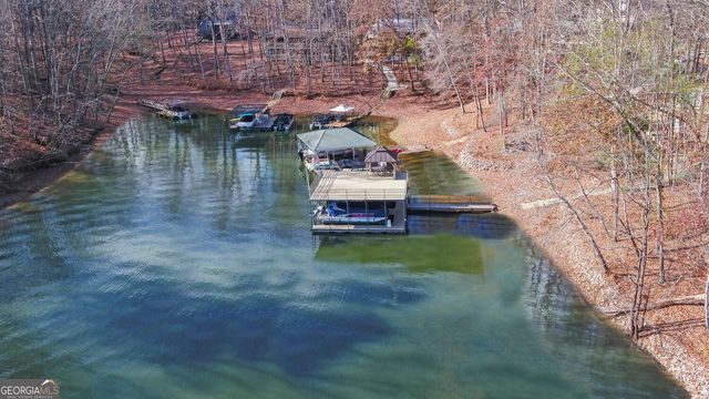 114 Blue Ridge Place, Lavonia, GA 30553