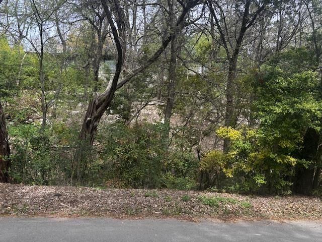 1204 Yaupon Valley RD A&B, West Lake Hills, TX 78746
