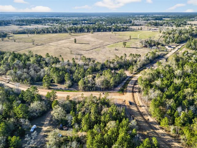 100 Remington Court, Coldspring, TX 77331