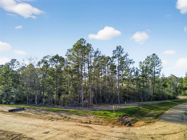 100 Remington Court, Coldspring, TX 77331