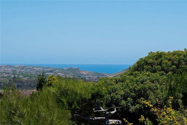 32372 Crete Road, Dana Point, CA 92629