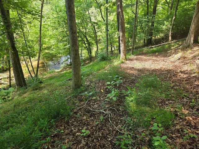 Tr 2 & 3 Settlement Road, Young Harris, GA 30582