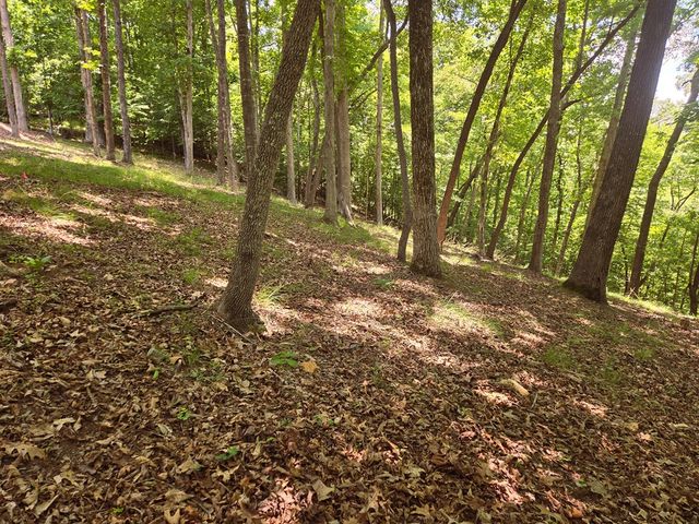Tr 2 & 3 Settlement Road, Young Harris, GA 30582